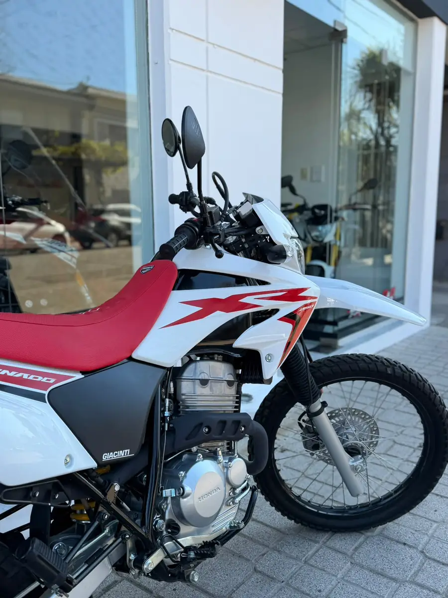 
								HONDA TORNADO XR250 2024 completo									